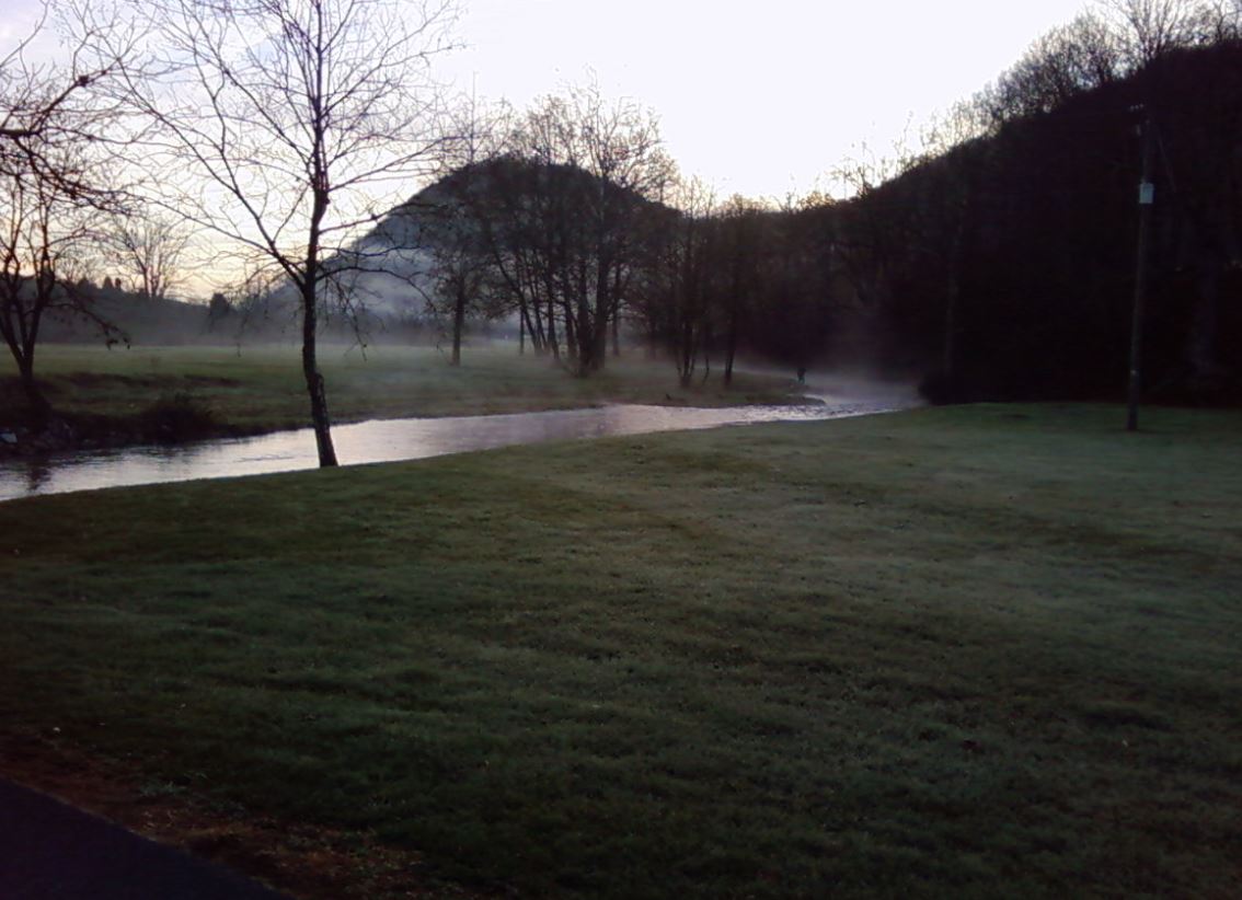 Cedar Springs Trout Farm
